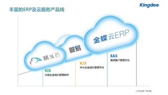 管易 四大招 助電商穩贏雙11